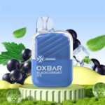 Oxbar Mini 2200 Puffs